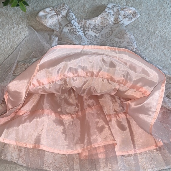 Janie and Jack Floral Jacquard Dress Pink/Rose Gold Dress EUC 6-12M - Picture 9 of 17